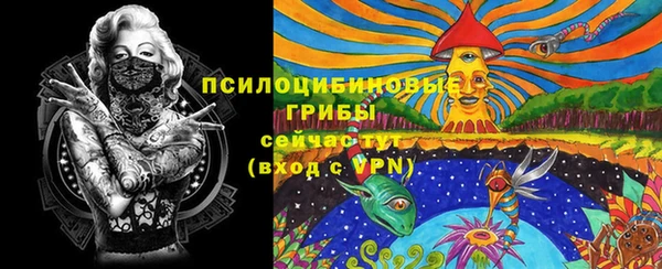 ALPHA PVP Белокуриха