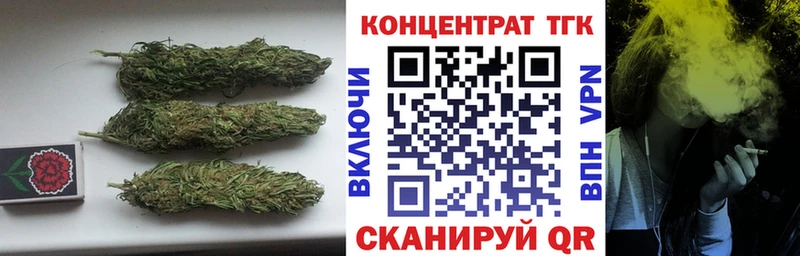 ТГК Wax  Петропавловск-Камчатский 