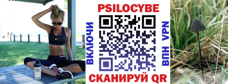Псилоцибиновые грибы Psilocybe  Петропавловск-Камчатский 